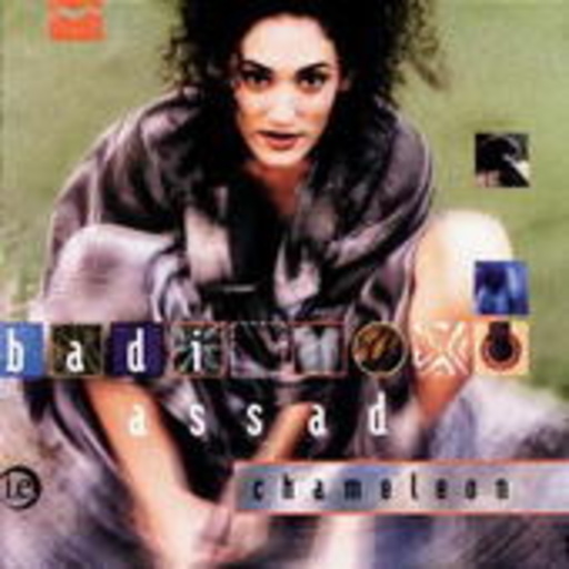 Badi Assad – Chameleon