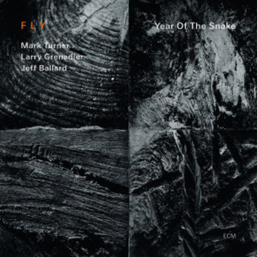 Fly – Year Of The Snake