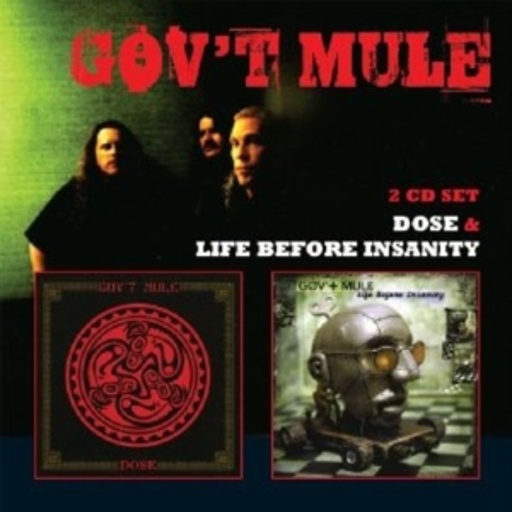 Gov't Mule – Dose/Life Before Insanity