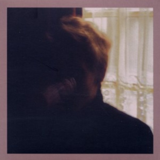 Days In The Wake (Palace Brothers)