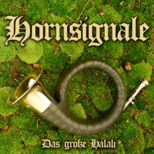 Diverse – Hornsignale