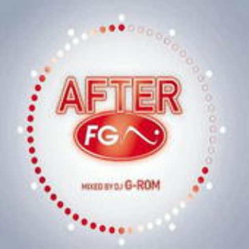 Diverse – After FG Vol. 2 - Mixed by DJ G-ROM
