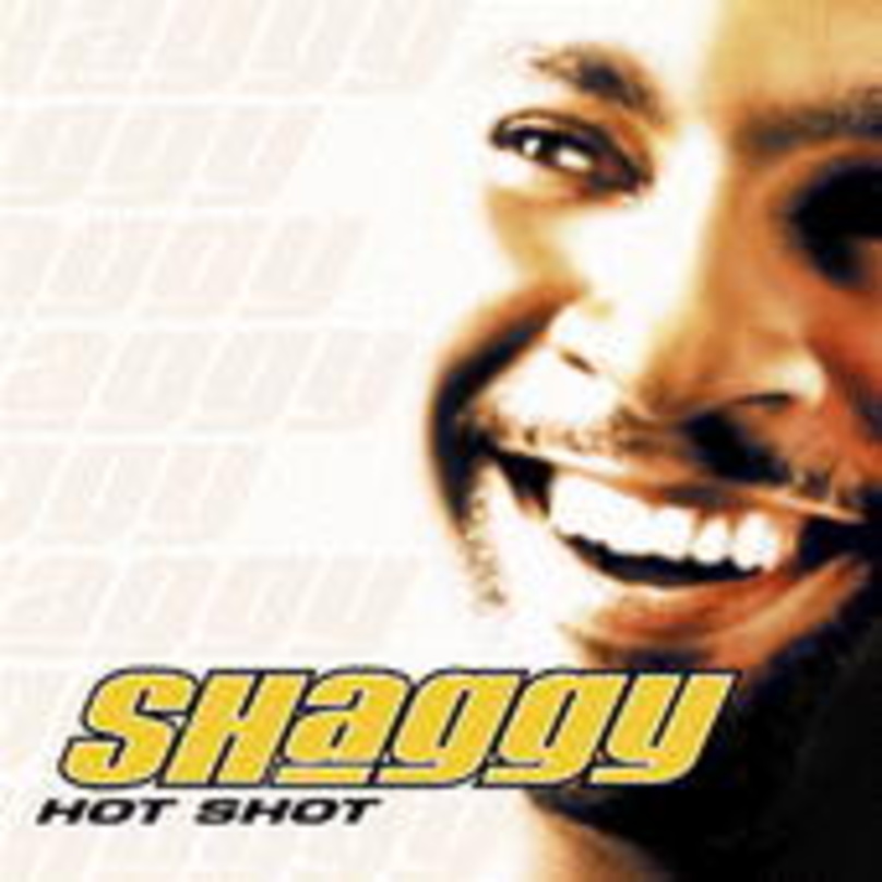 Verhalf Polydor zum zweiten Doppeltriumph: "Hot Shot" von Shaggy