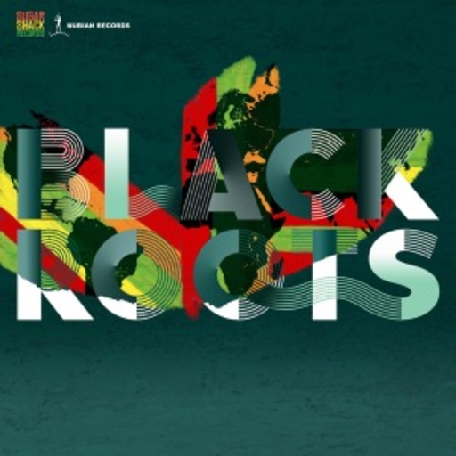 Black Roots – On The Ground
