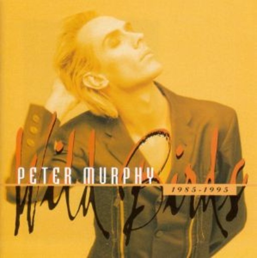 Peter Murphy – Wild Birds 1985-1995