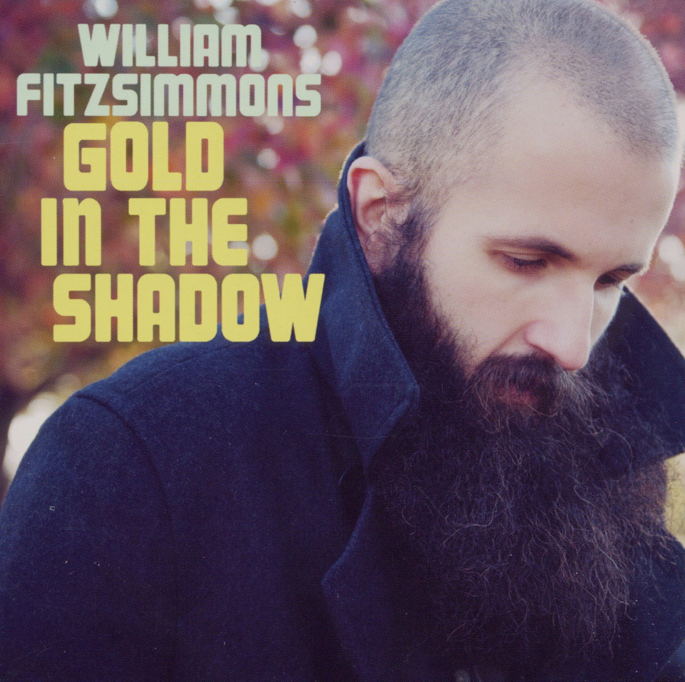 William Fitzsimmons – Gold In The Shadow