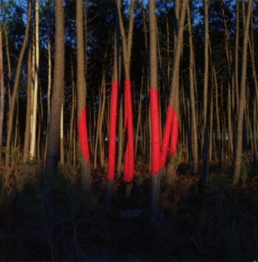 Francois & The Atlas Mountains – Piano Ombre