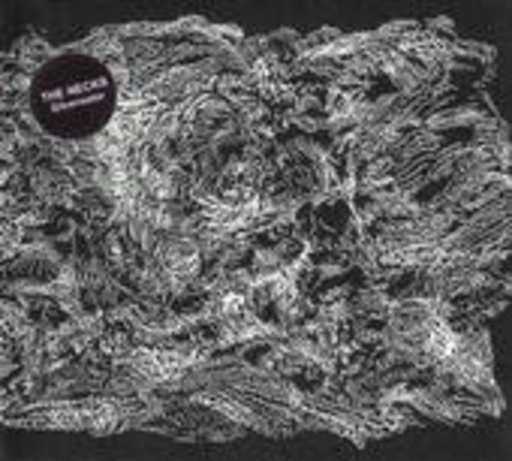 The Necks – Silverwater