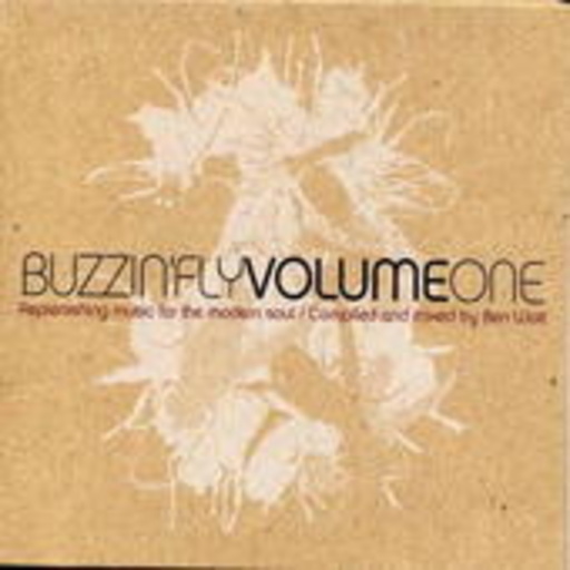 Diverse – Buzzin Fly Vol. 1(Mixed By Ben Watt)