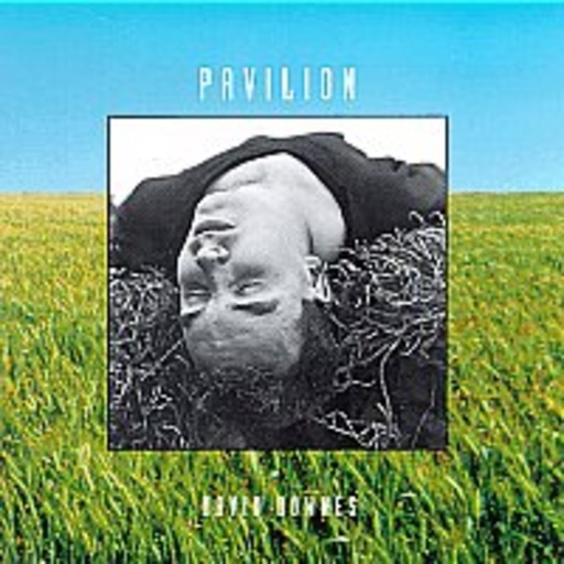 David Downes – Pavilion
