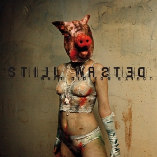 Still Wasted – What Did You Expect