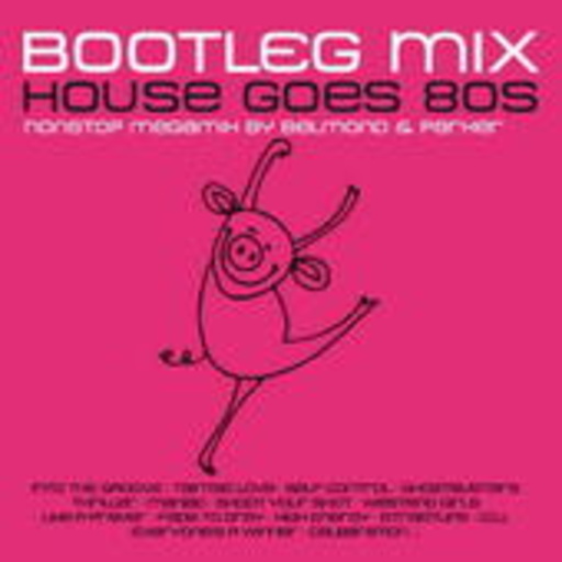 Diverse – House Goes 80's Bootleg Mix