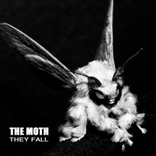 The Moth – They Fall