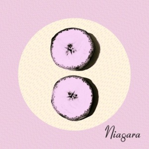 Niagara – Otto