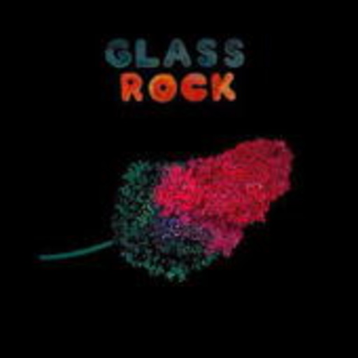 Glass Rock – Tall Firs Meet Soft Location