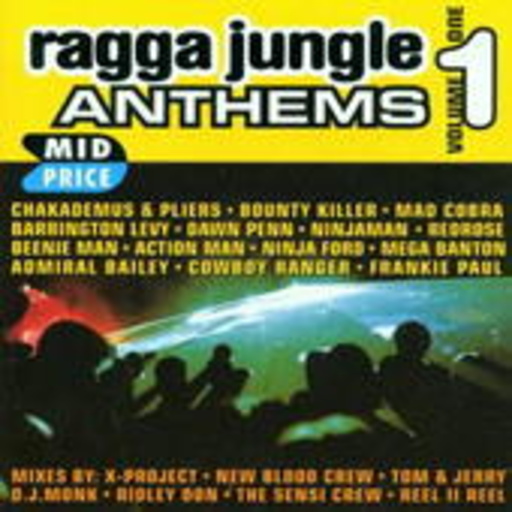 Diverse – Ragga Jungle Anthems Vol. 1