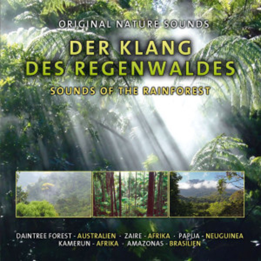 Diverse – Der Klang des Regenwaldes