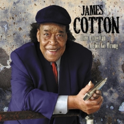 James Cotton – How Long Can A Fool Go Wrong