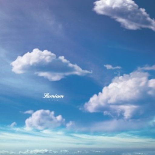 Samiam – Soar