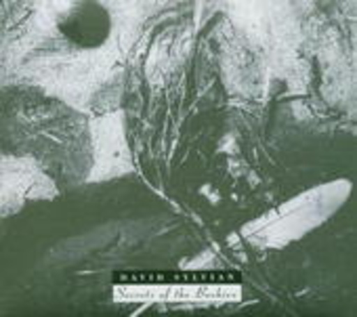 David Sylvian – Secrets Of The Beehive