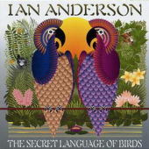 Ian Anderson – The Secret Language Of Birds