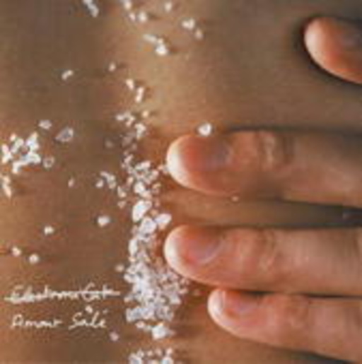 Electronicat – Amour Sale