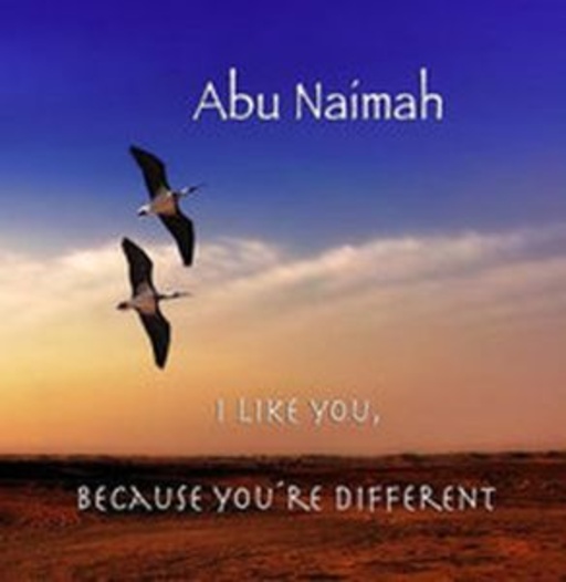 Abu Naimah feat. Mohamed Askari – I Like You, Because You're Different