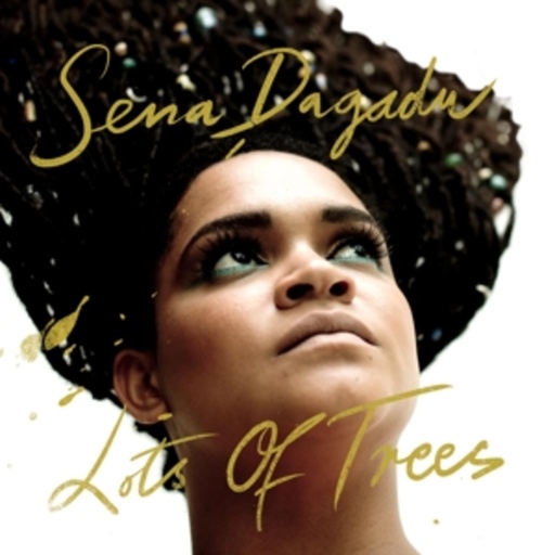 Sena Dagadu – Lots Of Trees