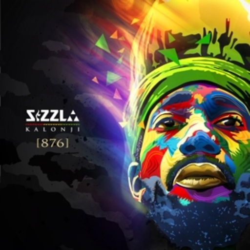 Sizzla Kalonji – 876