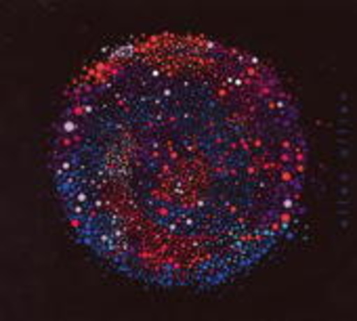 Ellen Allien – Sool