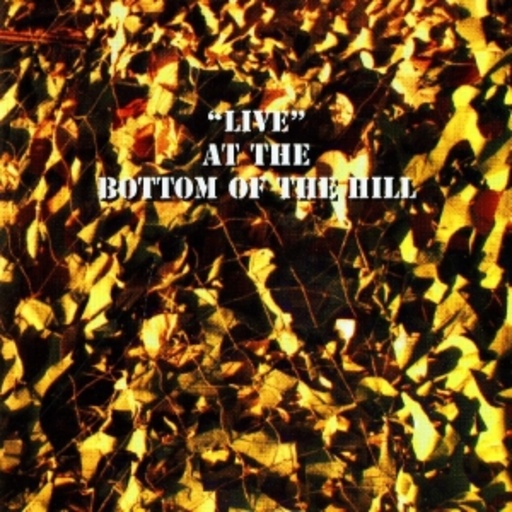Diverse – "Live" At The Bottom Of The Hill