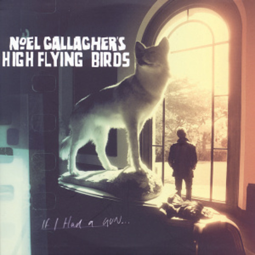 Noel Gallagher's High Flying Birds – If I Had A Gun