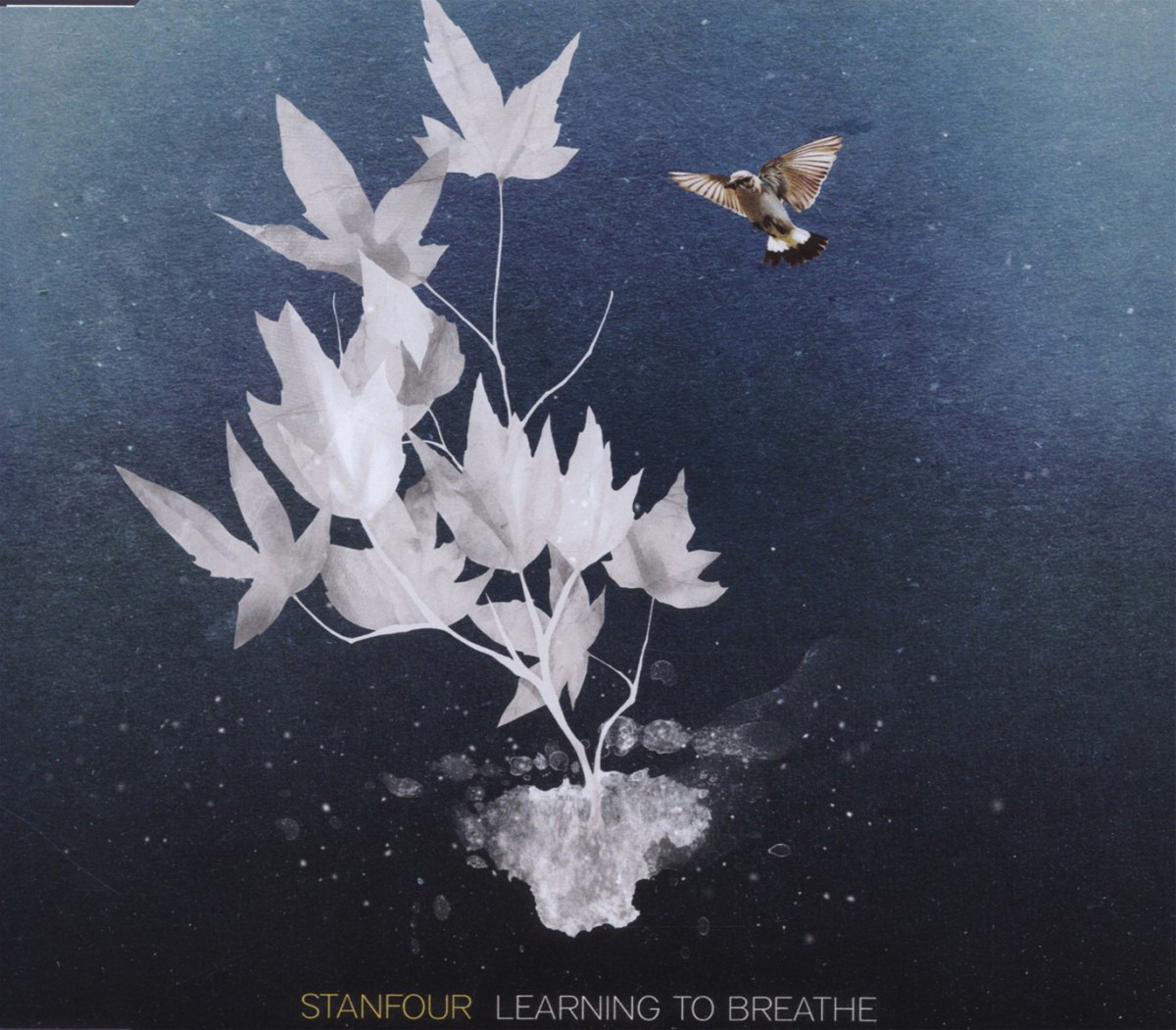 Stanfour – Learning To Breathe