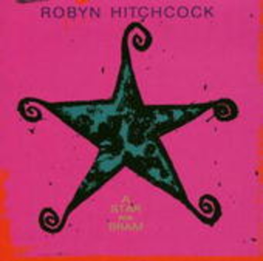 Robyn Hitchcock – A Star For Bram