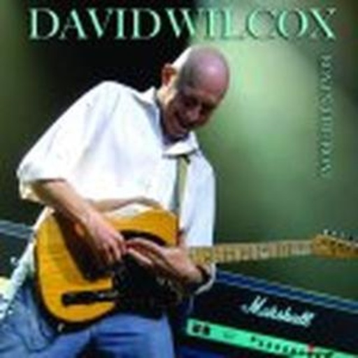 David Wilcox – Boy In The Boat