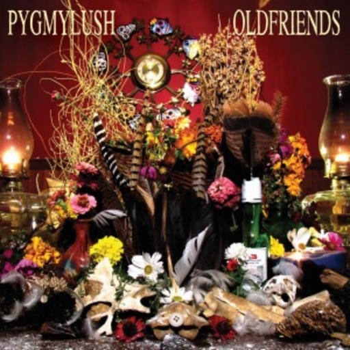 Pygmy Lush – Old Friends