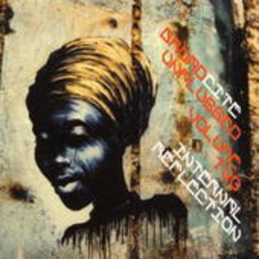 Diverse – Internal Reflection