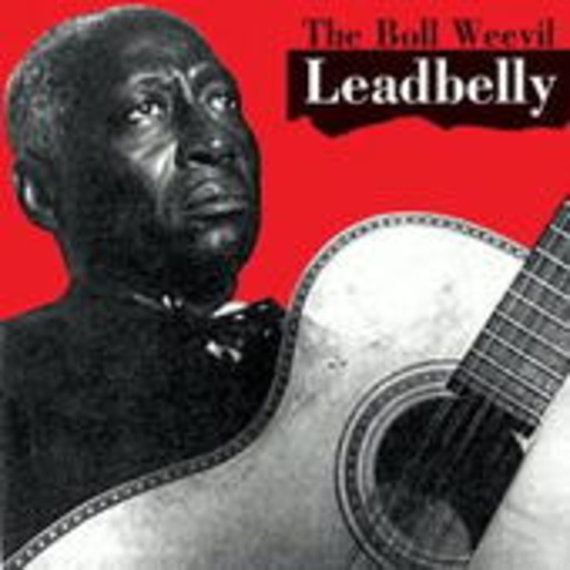 The Boll Weevil