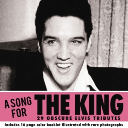 Diverse – A Song For The King - 29 Obscure Elvis Tributes