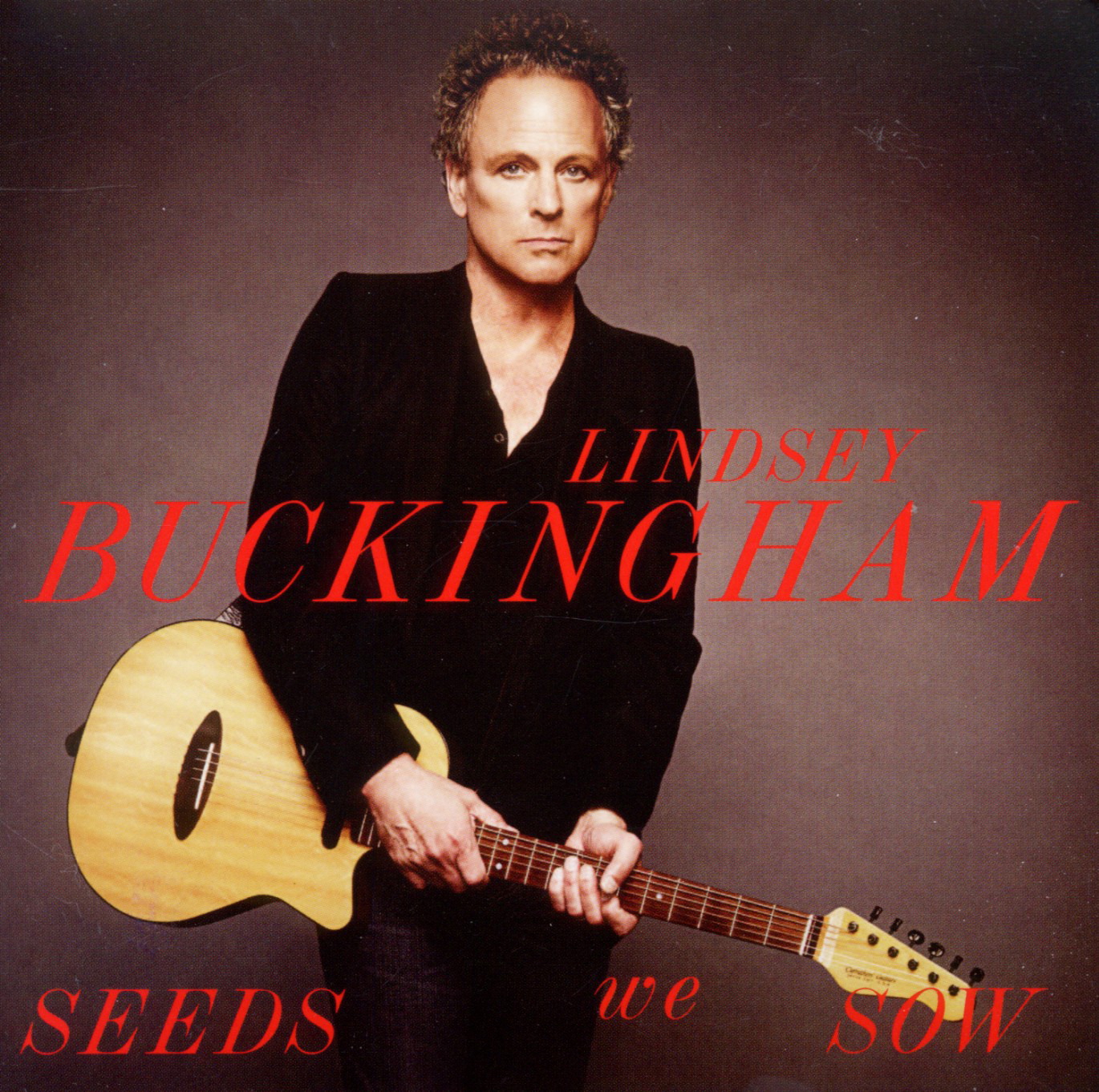Lindsey Buckingham – Seeds We Sow
