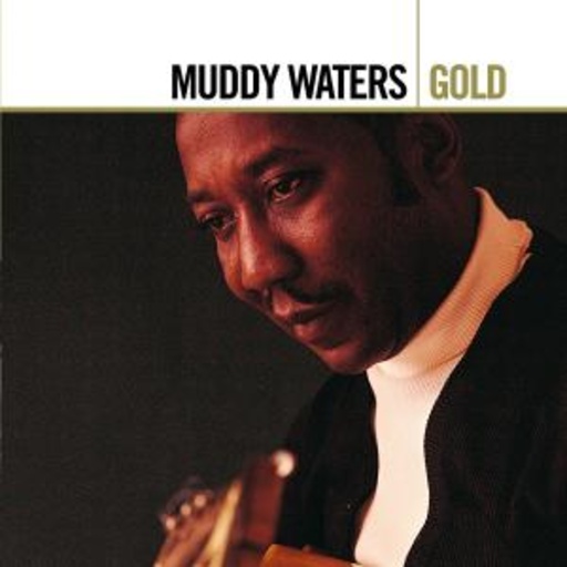 Muddy Waters – Gold