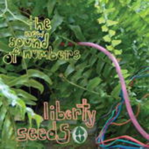 The New Sound Of Numbers – Liberty Seeds