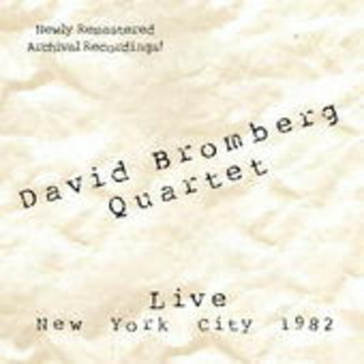 David Bromberg – Live - New York City 1982