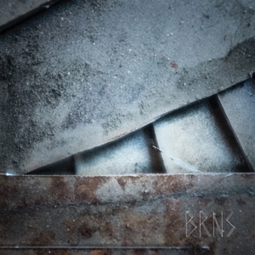 BRNS – Void/My Head Is Into You