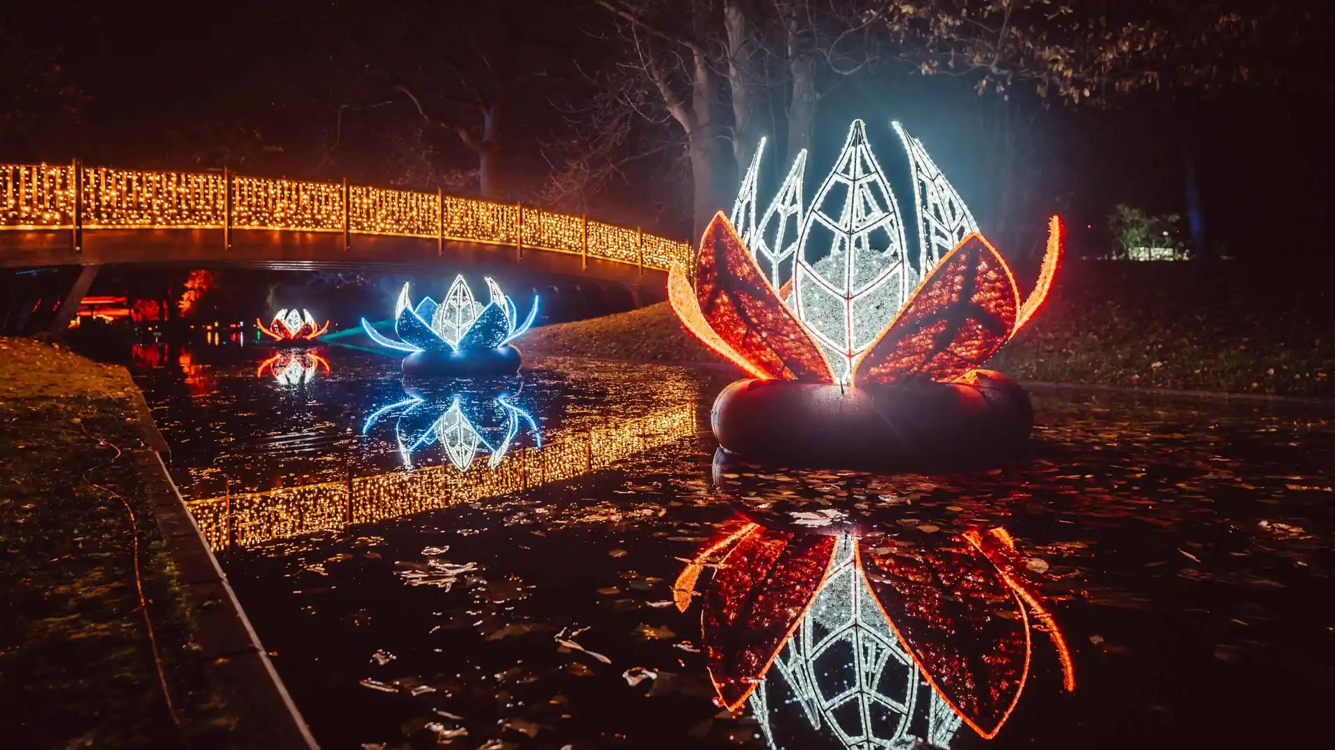 Abgesagt: der Christmas Garden in Karlsruhe, hier eine Impression von der ersten Saison 2023/24.
