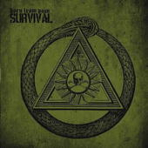Born From Pain – Survival