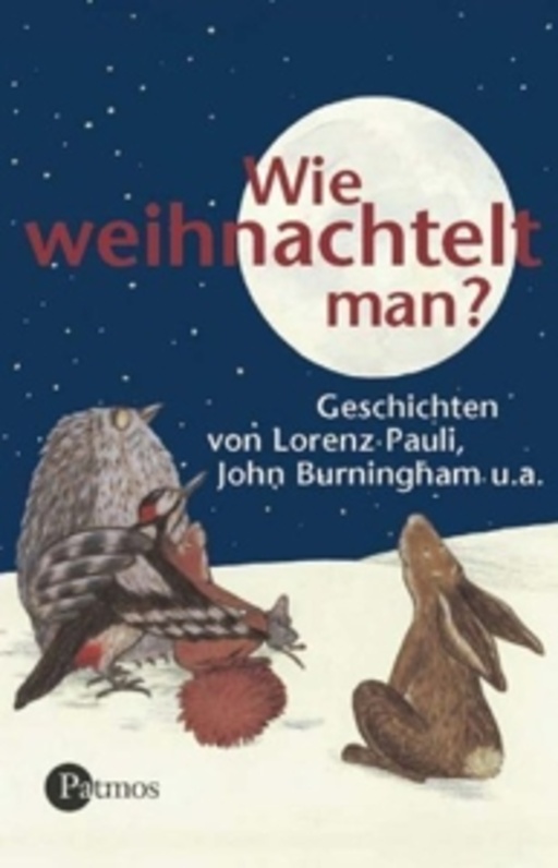 John Burningham/Lorenz Pauli/Franz Führmann – Wie weihnachtelt man?