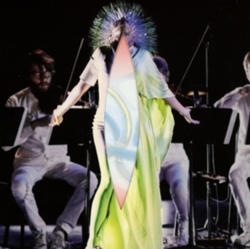 Björk – Vulnicura Strings