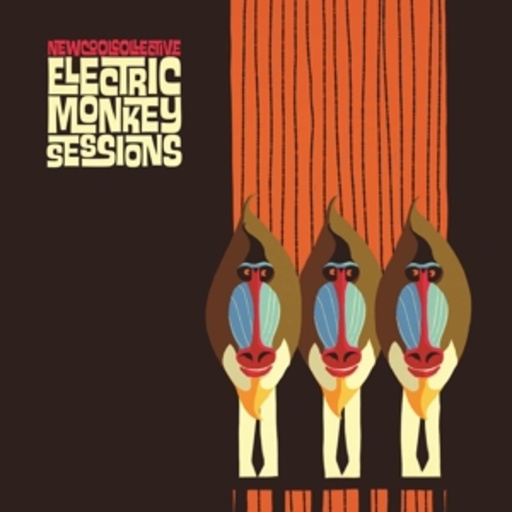 New Cool Collective – Electric Monkey Sessions