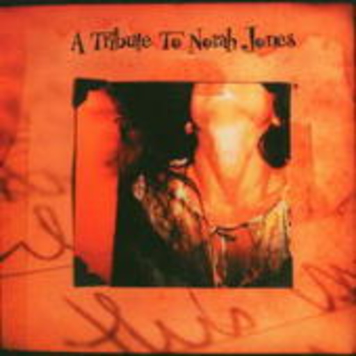 Diverse – A Tribute To Norah Jones